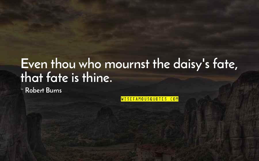 Daisy's Quotes By Robert Burns: Even thou who mournst the daisy's fate, that