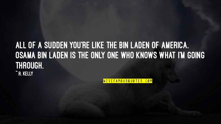 Dakura Quotes By R. Kelly: All of a sudden you're like the Bin Dakura Quotes By R. Kelly: All of a sudden you're like the Bin