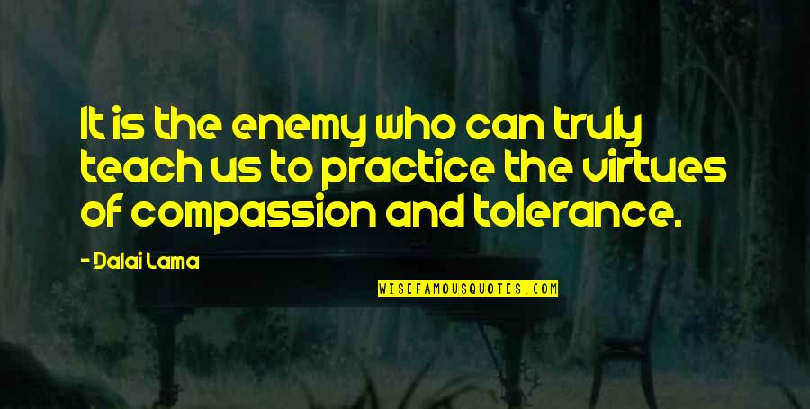 Dalai Lama Compassion Quotes By Dalai Lama: It is the enemy who can truly teach