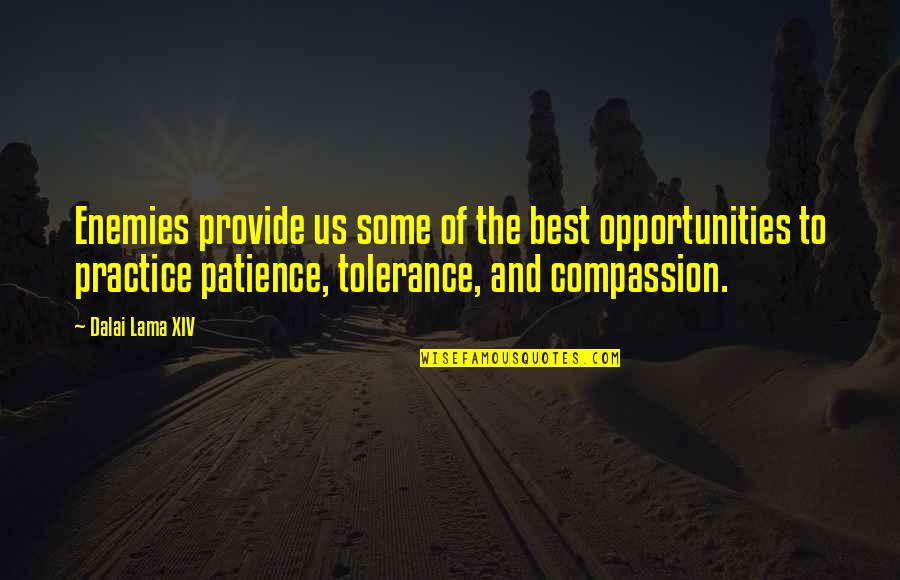 Dalai Lama Compassion Quotes By Dalai Lama XIV: Enemies provide us some of the best opportunities