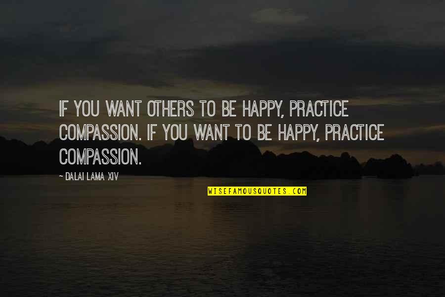 Dalai Lama Compassion Quotes By Dalai Lama XIV: If you want others to be happy, practice
