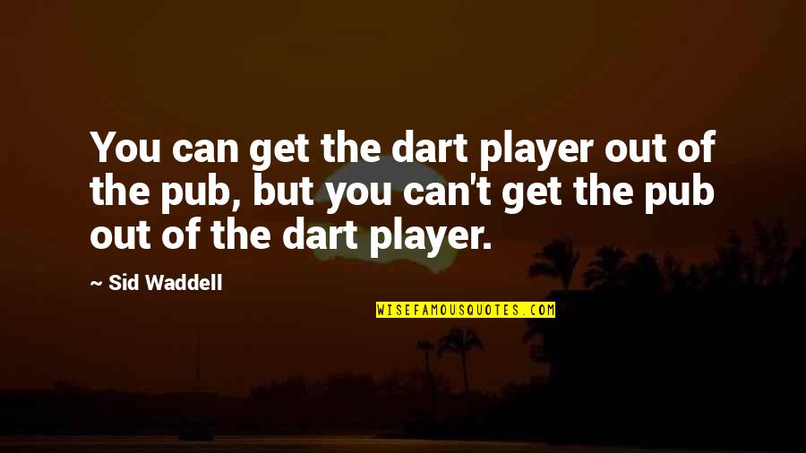 Dalai Lama Meaning Of Life Quotes By Sid Waddell: You can get the dart player out of Dalai Lama Meaning Of Life Quotes By Sid Waddell: You can get the dart player out of
