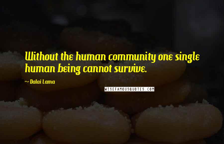 Dalai Lama quotes: Without the human community one single human being cannot survive.