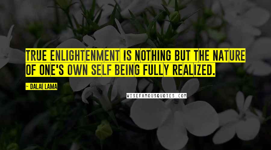 Dalai Lama quotes: True enlightenment is nothing but the nature of one's own self being fully realized.