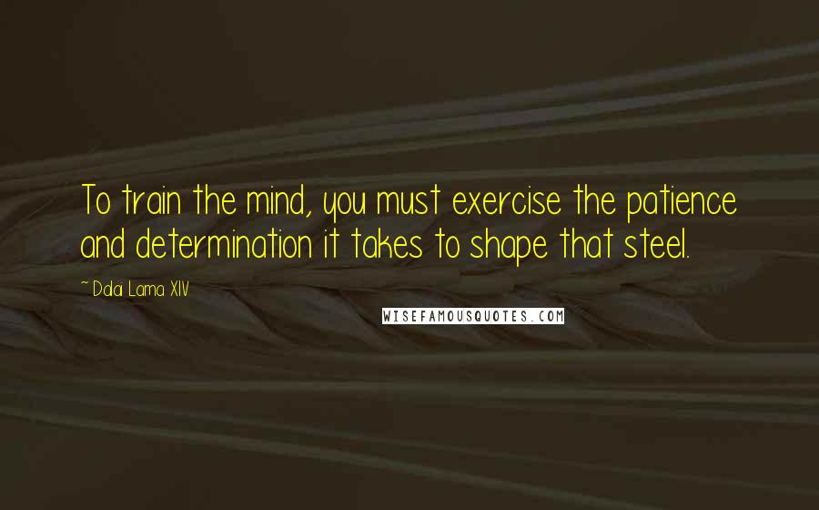 Dalai Lama XIV quotes: To train the mind, you must exercise the patience and determination it takes to shape that steel.