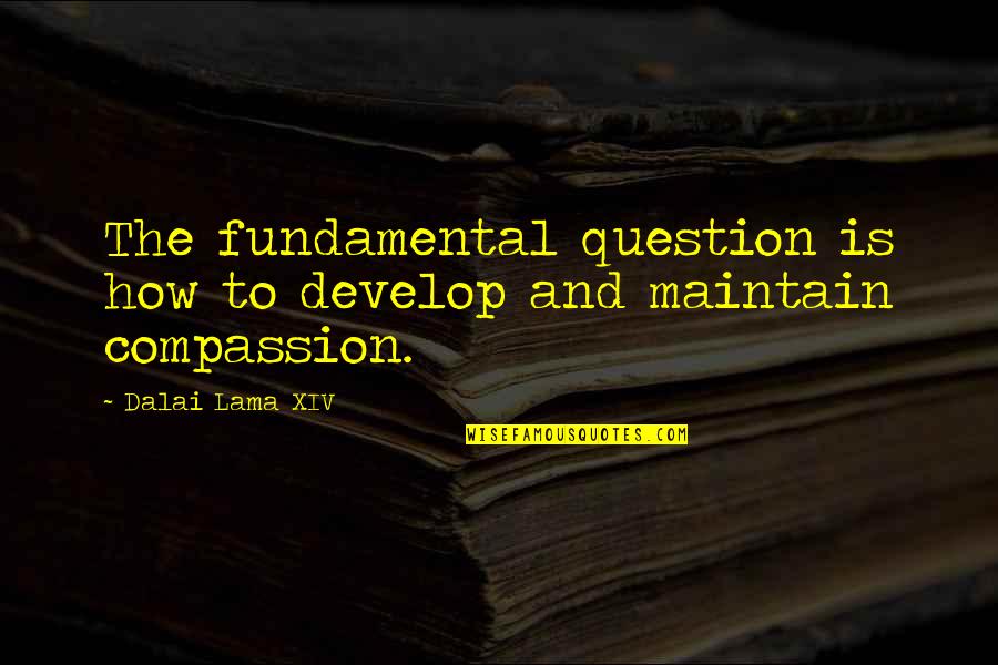 Dalai Lama Xiv Quotes By Dalai Lama XIV: The fundamental question is how to develop and