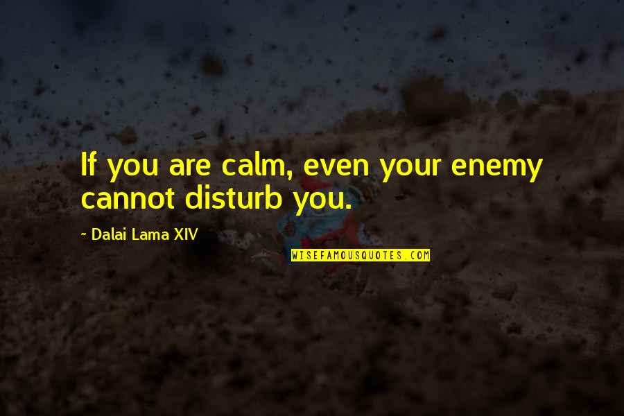 Dalai Lama Xiv Quotes By Dalai Lama XIV: If you are calm, even your enemy cannot