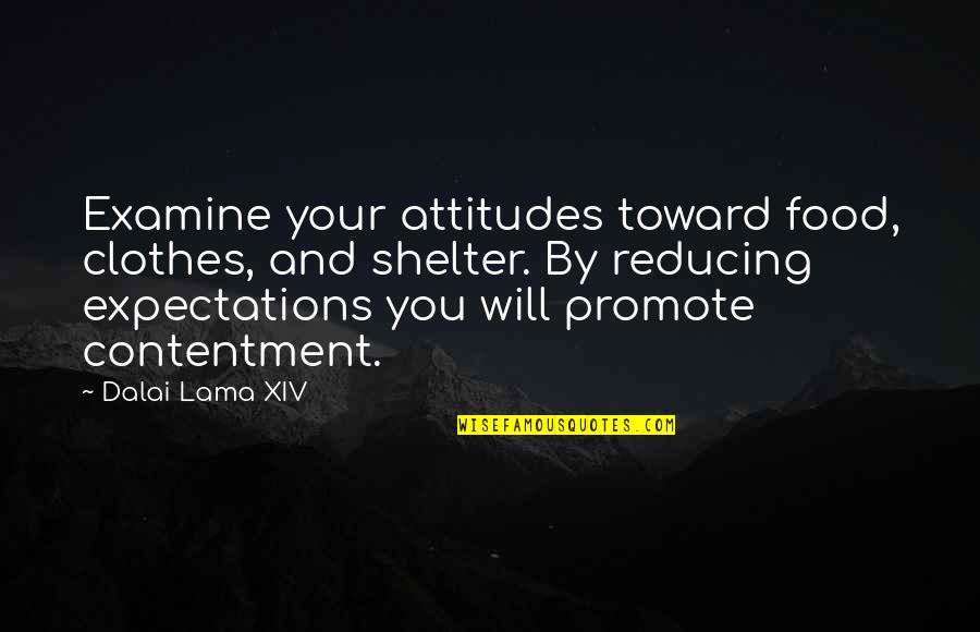 Dalai Quotes By Dalai Lama XIV: Examine your attitudes toward food, clothes, and shelter.