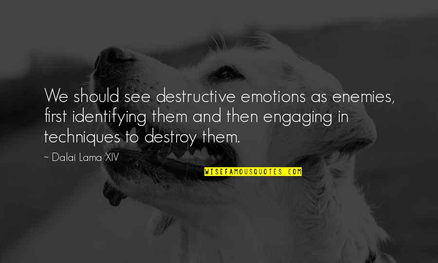 Dalai Quotes By Dalai Lama XIV: We should see destructive emotions as enemies, first