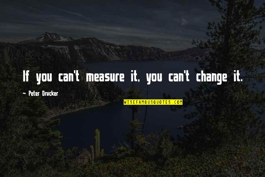 Daldry Inspector Quotes By Peter Drucker: If you can't measure it, you can't change