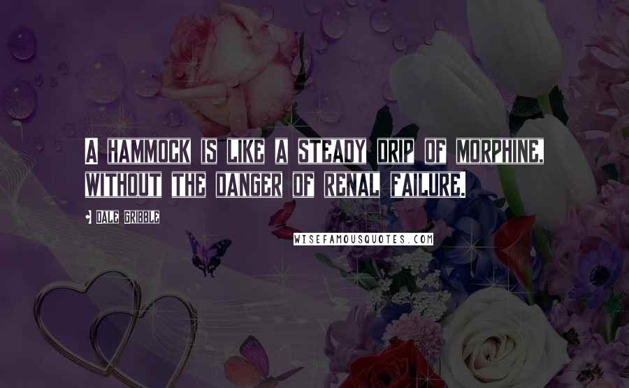 Dale Gribble quotes: A hammock is like a steady drip of morphine, without the danger of renal failure.