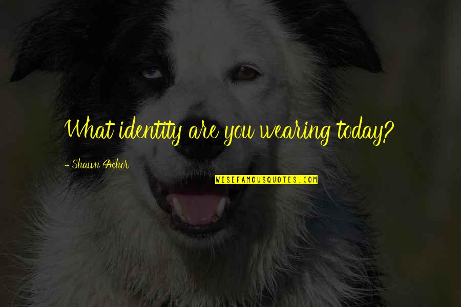 Dalitz Plot Quotes By Shawn Achor: What identity are you wearing today?