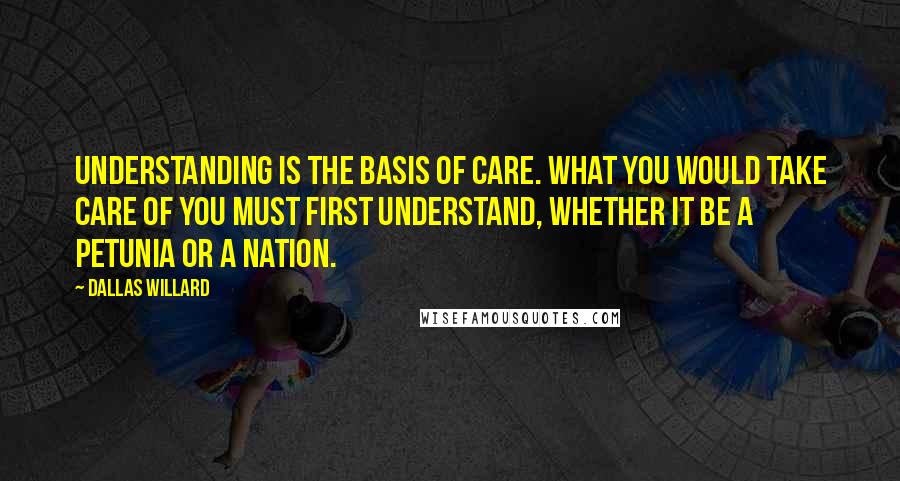 Dallas Willard quotes: Understanding is the basis of care. What you would take care of you must first understand, whether it be a petunia or a nation.