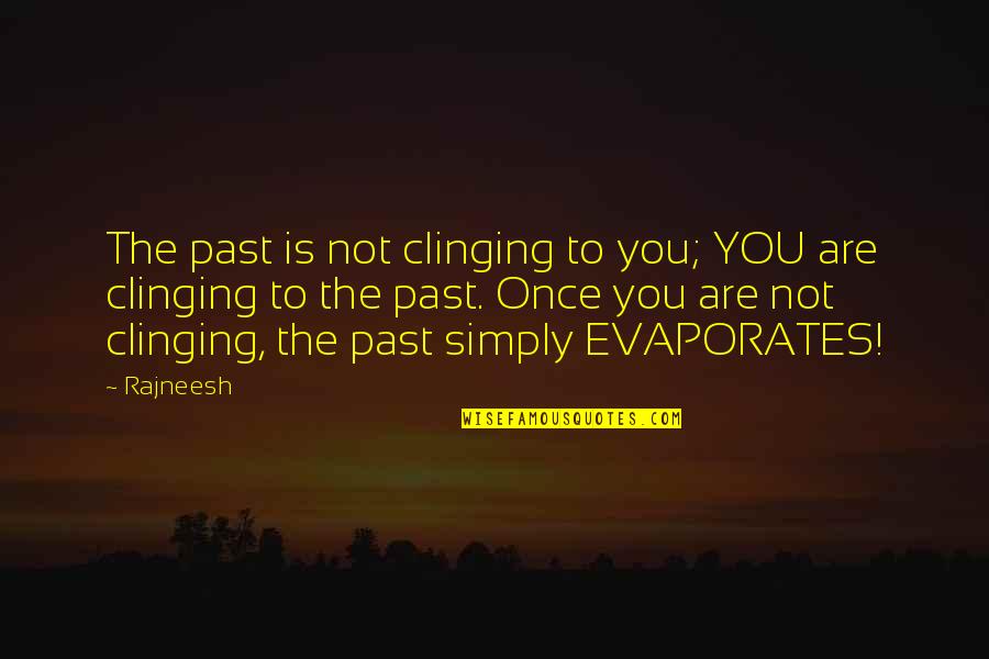 Dallek Office Quotes By Rajneesh: The past is not clinging to you; YOU