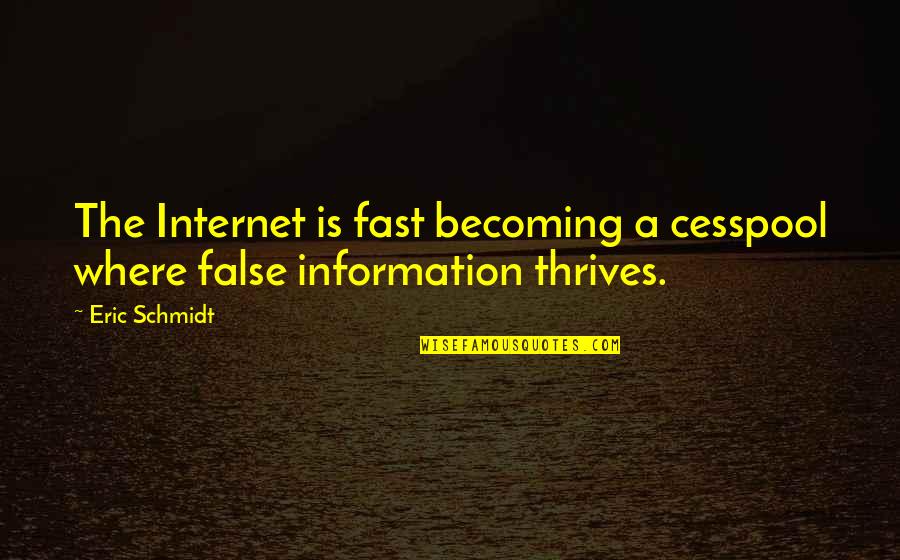 Dallmeier Quotes By Eric Schmidt: The Internet is fast becoming a cesspool where