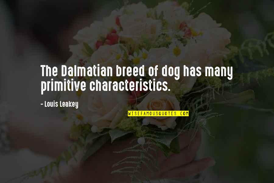 Dalmatian Quotes By Louis Leakey: The Dalmatian breed of dog has many primitive
