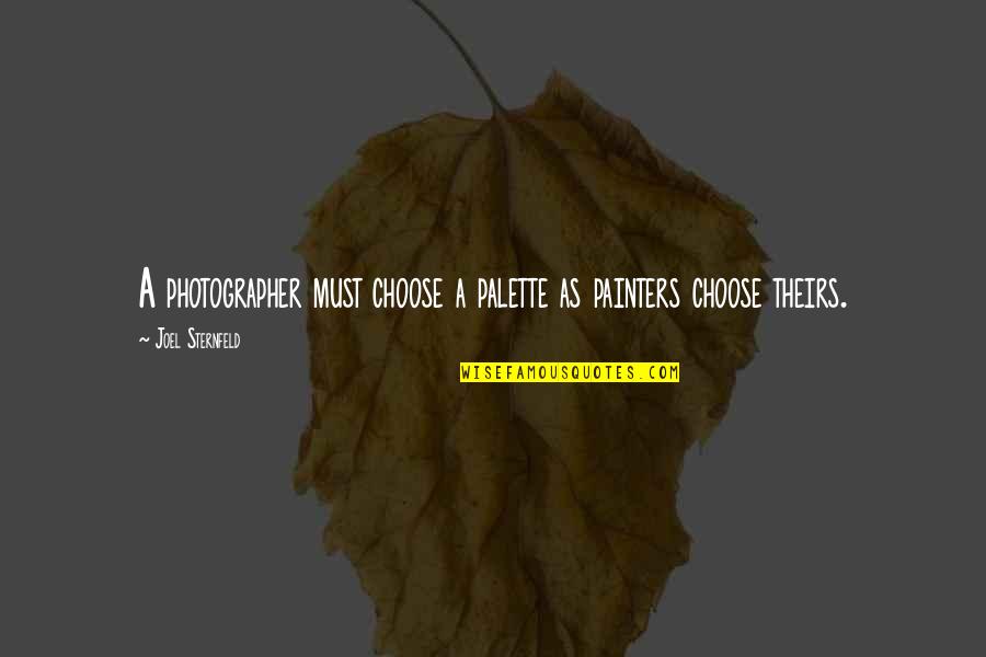 Daltronde Quotes By Joel Sternfeld: A photographer must choose a palette as painters Daltronde Quotes By Joel Sternfeld: A photographer must choose a palette as painters
