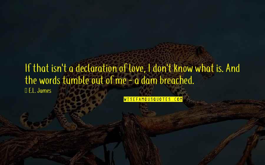 Dam Quotes By E.L. James: If that isn't a declaration of love, I