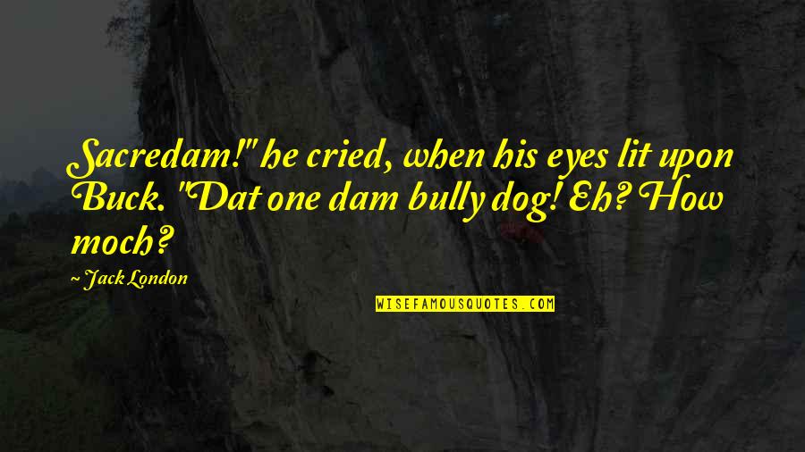 Dam Quotes By Jack London: Sacredam!" he cried, when his eyes lit upon