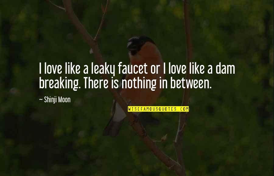 Dam Quotes By Shinji Moon: I love like a leaky faucet or I