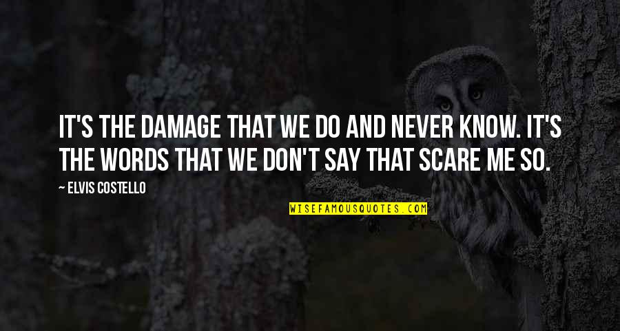 Damage Quotes By Elvis Costello: It's the damage that we do and never Damage Quotes By Elvis Costello: It's the damage that we do and never