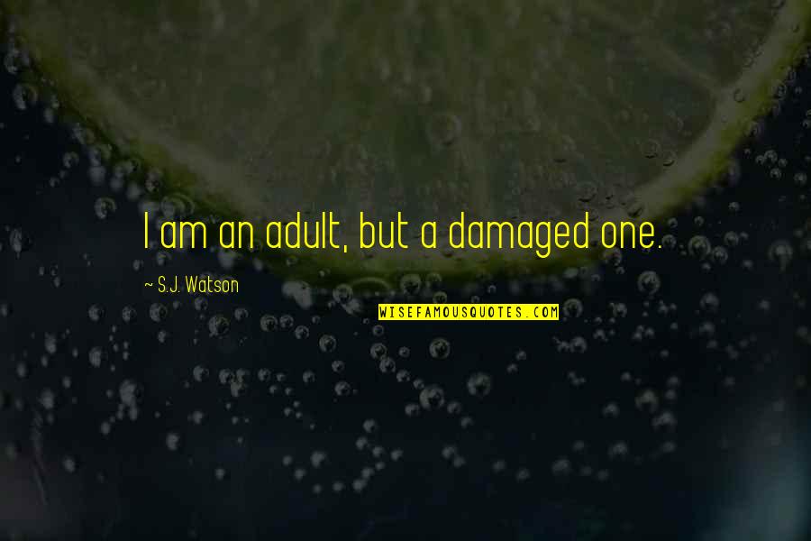 Damaged Quotes By S.J. Watson: I am an adult, but a damaged one.