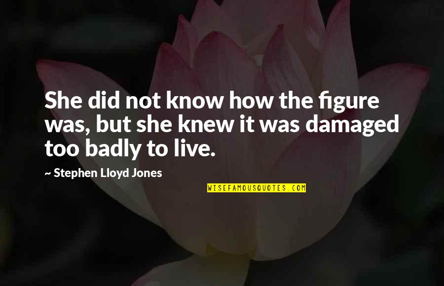 Damaged Quotes By Stephen Lloyd Jones: She did not know how the figure was,