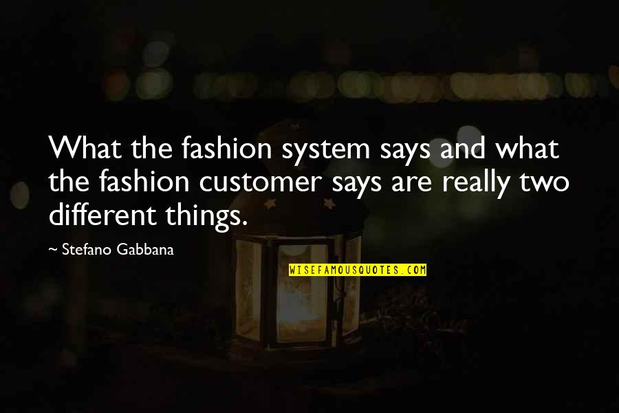 Damaged Reputation Quotes By Stefano Gabbana: What the fashion system says and what the Damaged Reputation Quotes By Stefano Gabbana: What the fashion system says and what the