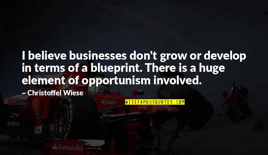 Damaged Woman Quotes By Christoffel Wiese: I believe businesses don't grow or develop in