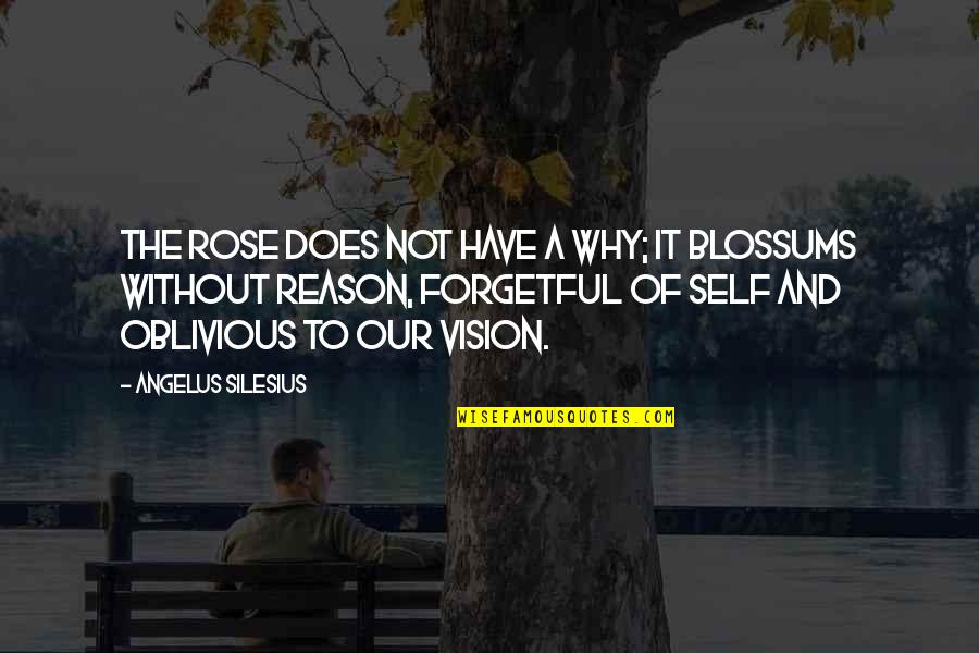 Damaging Others Quotes By Angelus Silesius: The rose does not have a why; it Damaging Others Quotes By Angelus Silesius: The rose does not have a why; it