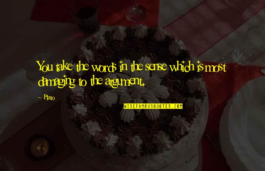 Damaging Words Quotes By Plato: You take the words in the sense which