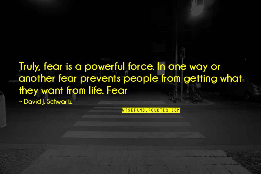 Damant Forza Quotes By David J. Schwartz: Truly, fear is a powerful force. In one Damant Forza Quotes By David J. Schwartz: Truly, fear is a powerful force. In one
