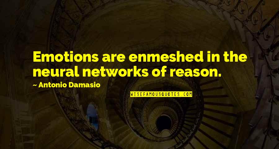 Damasio Quotes By Antonio Damasio: Emotions are enmeshed in the neural networks of