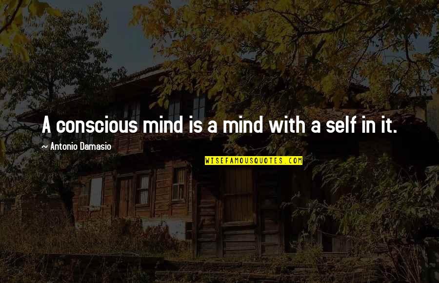 Damasio Quotes By Antonio Damasio: A conscious mind is a mind with a