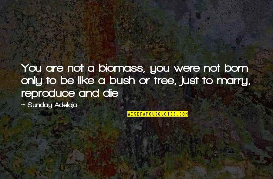 Dame Patience Quotes By Sunday Adelaja: You are not a biomass, you were not