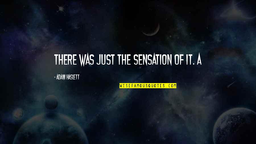 Damhus Biler Quotes By Adam Haslett: There was just the sensation of it. A Damhus Biler Quotes By Adam Haslett: There was just the sensation of it. A
