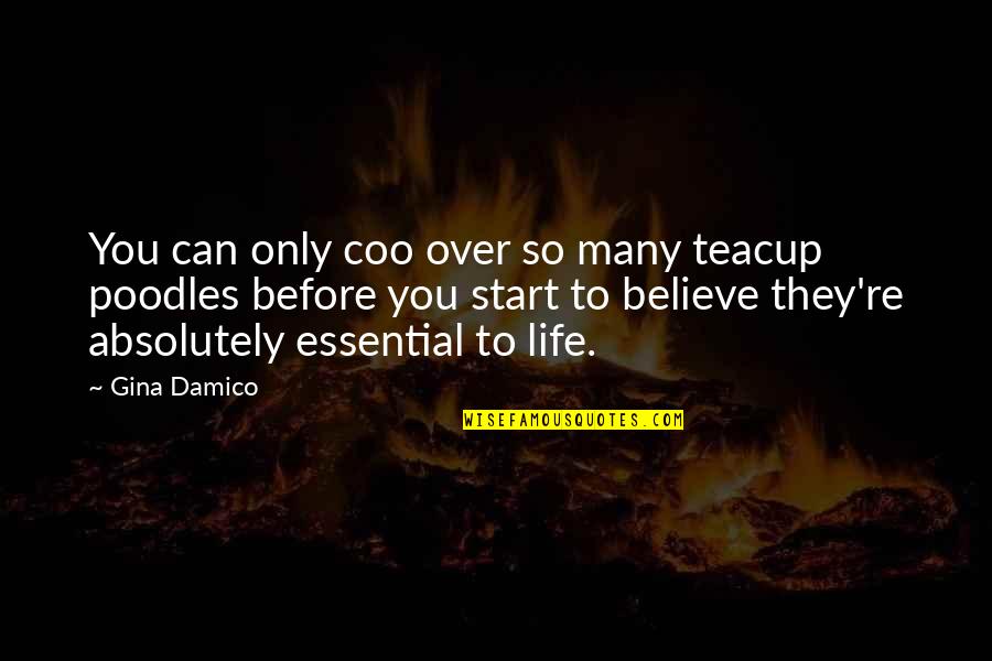 Damico Quotes By Gina Damico: You can only coo over so many teacup