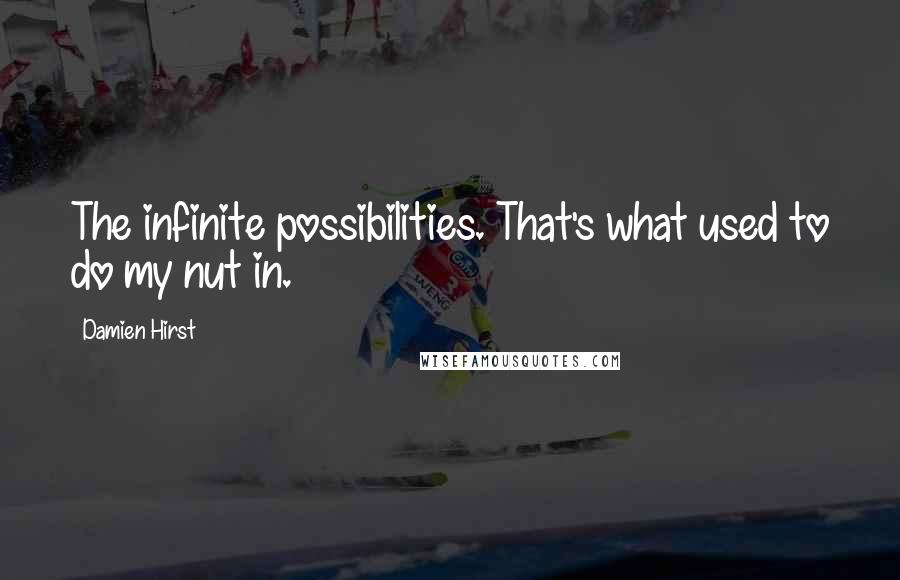 Damien Hirst quotes: The infinite possibilities. That's what used to do my nut in.