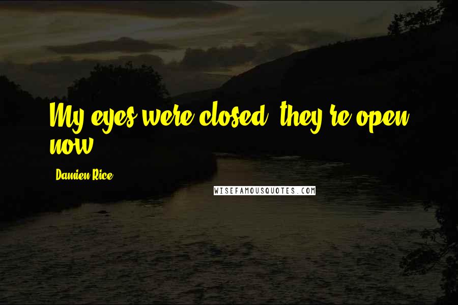 Damien Rice quotes: My eyes were closed, they're open now