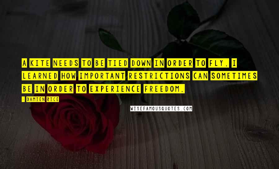 Damien Rice quotes: A kite needs to be tied down in order to fly. I learned how important restrictions can sometimes be in order to experience freedom.