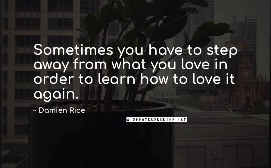 Damien Rice quotes: Sometimes you have to step away from what you love in order to learn how to love it again.