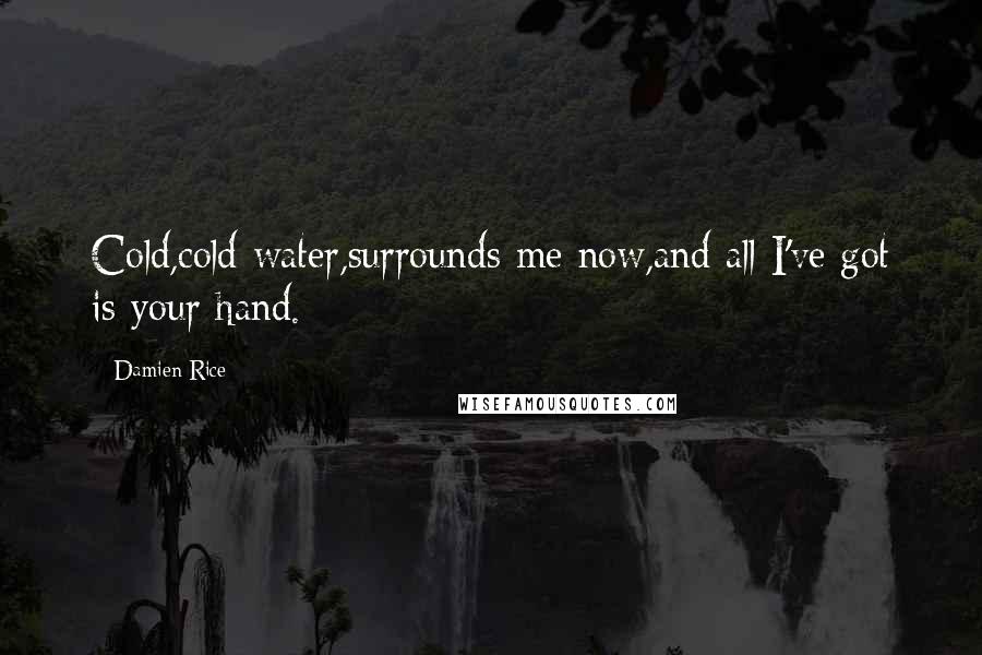 Damien Rice quotes: Cold,cold water,surrounds me now,and all I've got is your hand.