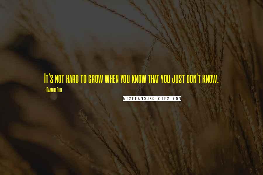 Damien Rice quotes: It's not hard to grow when you know that you just don't know. Damien Rice quotes: It's not hard to grow when you know that you just don't know.