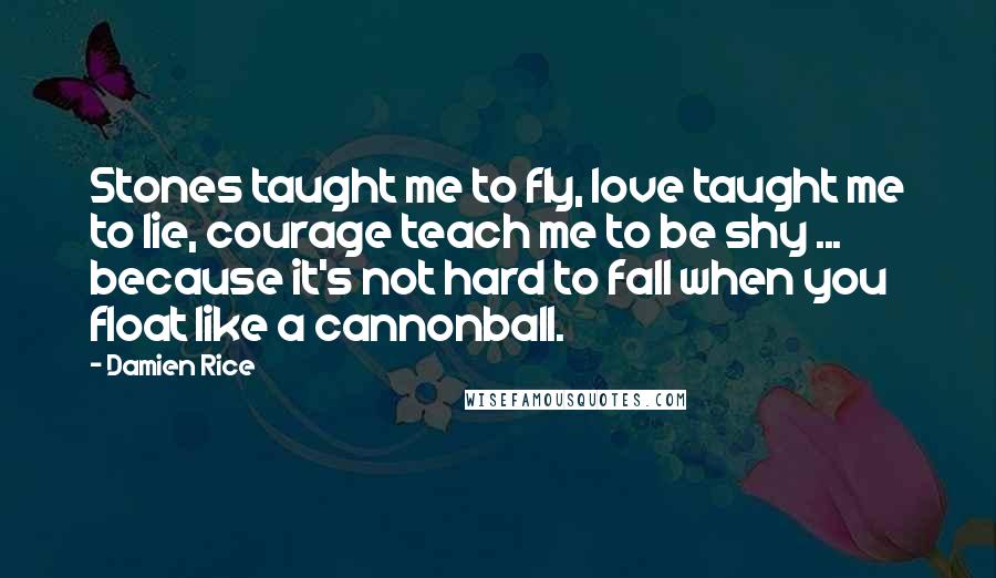 Damien Rice quotes: Stones taught me to fly, love taught me to lie, courage teach me to be shy ... because it's not hard to fall when you float like a cannonball.