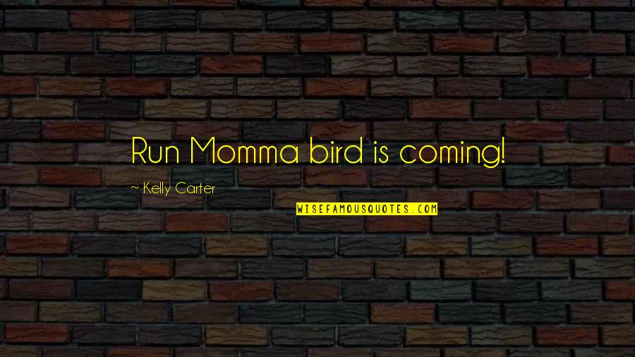 Damijan Merlak Quotes By Kelly Carter: Run Momma bird is coming!