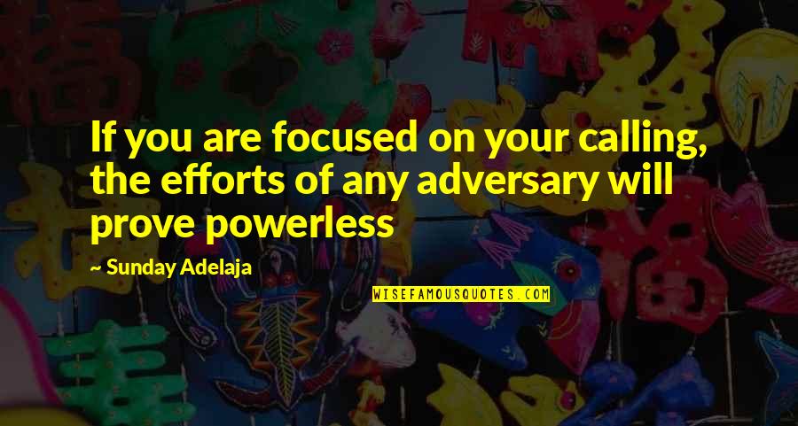 Dammasch State Quotes By Sunday Adelaja: If you are focused on your calling, the