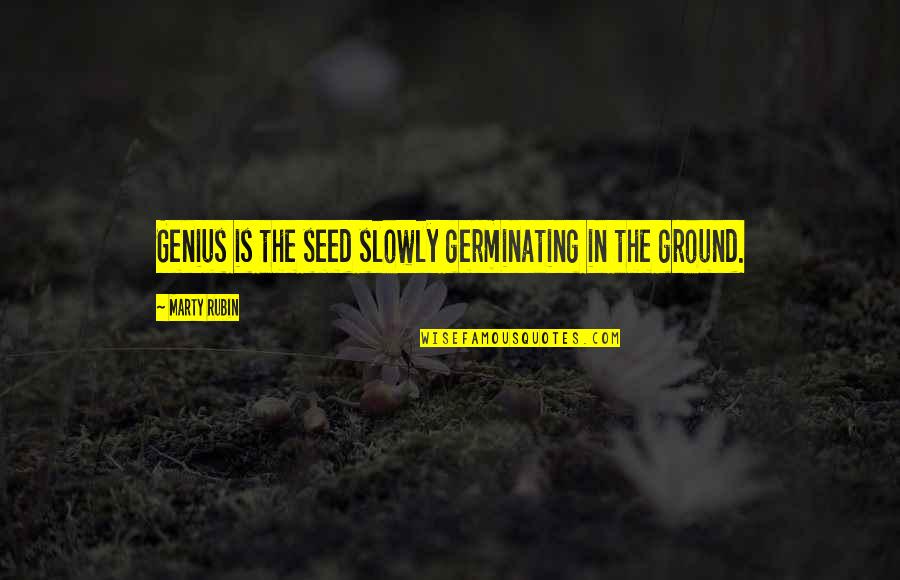 Damming Quotes By Marty Rubin: Genius is the seed slowly germinating in the