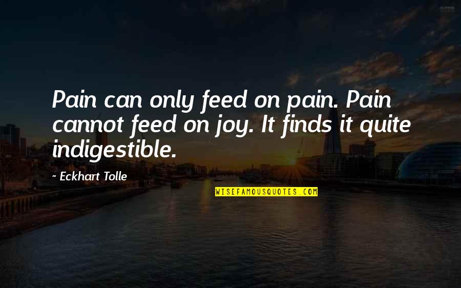 Dammit Bobby Quotes By Eckhart Tolle: Pain can only feed on pain. Pain cannot