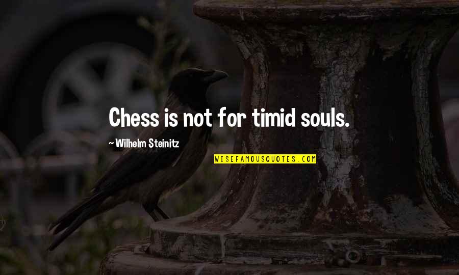 Damn Boy Quotes By Wilhelm Steinitz: Chess is not for timid souls. Damn Boy Quotes By Wilhelm Steinitz: Chess is not for timid souls.