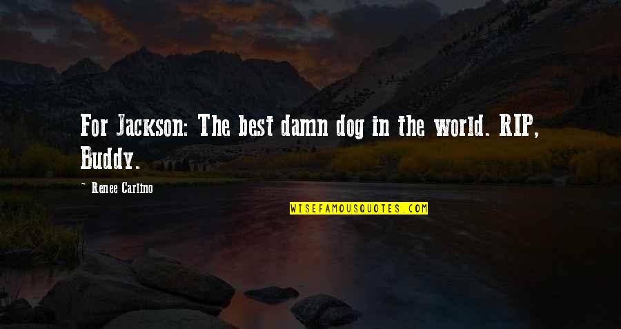 Damn The World Quotes By Renee Carlino: For Jackson: The best damn dog in the Damn The World Quotes By Renee Carlino: For Jackson: The best damn dog in the